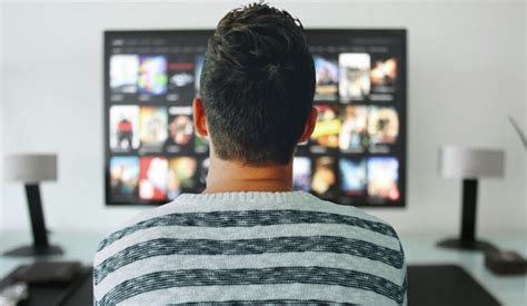 Kalakutienos populiarumas Lietuvoje ir maistingumas