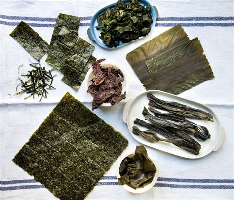 Įvairios jūros dumblių rūšys, pvz., nori, wakame, kombu