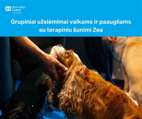 Jaunuolis su šunimi ir katina