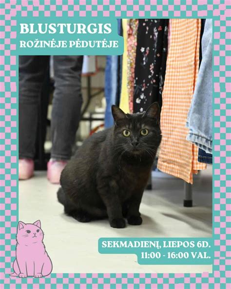 Katė randa žiedą žuvies viduriuose