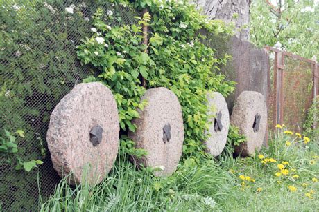 Akmeninės girnos speltos miltų gamybai