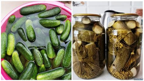 Infografika: Traškių agurkų paslaptys