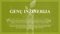 Genetiškai modifikuotų augalų ir genų inžinerijos iliustracija