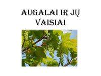 Įvairūs augalai ir vaisiai užpiltinėms