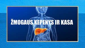 Žmogaus kepenys ir jų struktūra