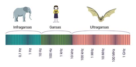Garso spektro vizualizacija su infragarso ir ultragarso diapazonais