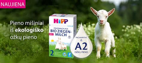 istorinė ožkų pieno kelionė