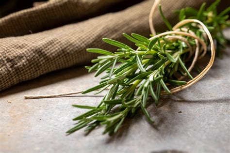 rozmarinas ir citrina