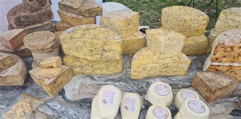 Nuotraukos skirtingų rūšių pelėsinių sūrių: Kamambero, Bri, Gorgonzolos, Rokforo