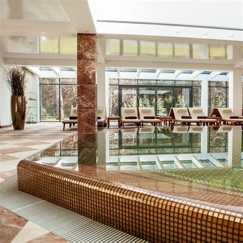 SPA centras su baseinu ir vaizdu į pušyną