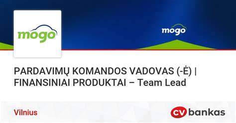 Pardavimų komandos vadovas bendrauja su kolegomis