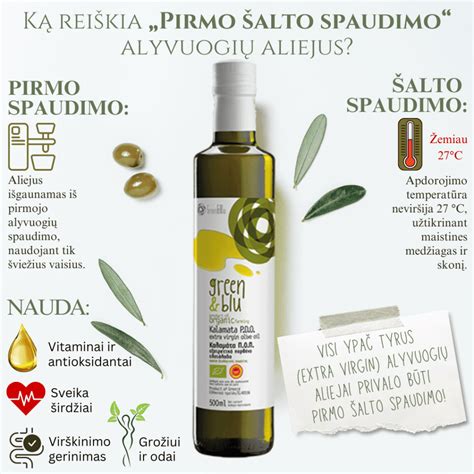 alyvuogių aliejaus gamybos procesas