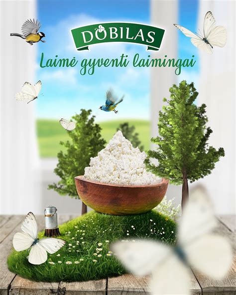 Įvairių varškės pyragų asortimentas