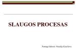 Gaminimo proceso etapai