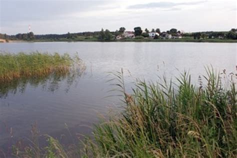 Geslių sodybos gėlynas ir vandens telkinys