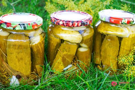 Marinuotų agurkų stiklainiai ir ingredientai marinavimui