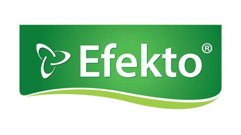 Leidenfrosto efekto pavyzdys